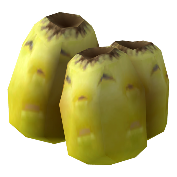 Datei:Barrel cactus fruit.png