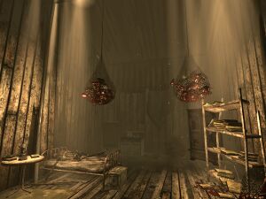 CS northeast shack int.jpg