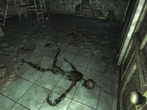 FO3 Nuka-Cola plant closet.jpg