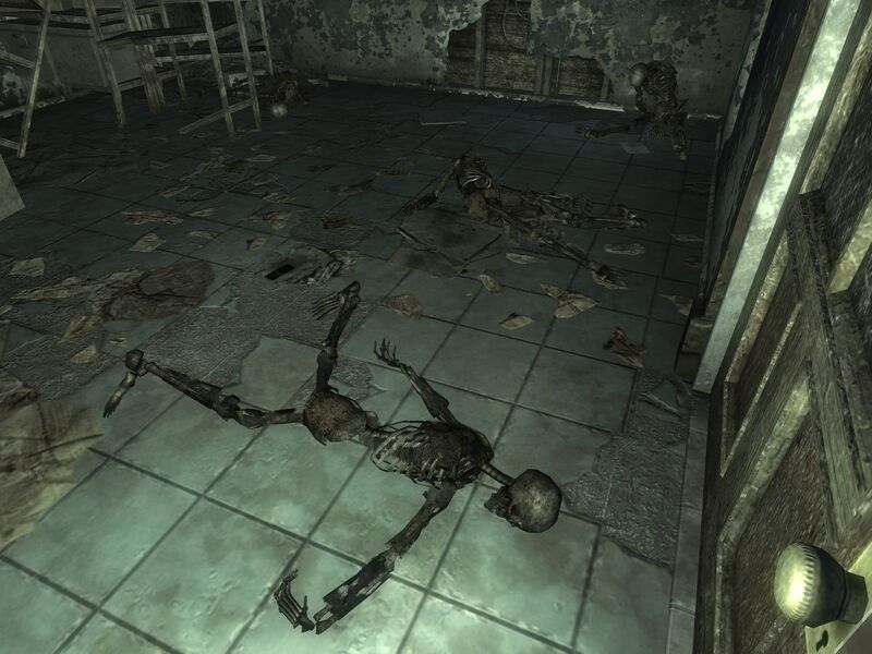 Datei:FO3 Nuka-Cola plant closet.jpg