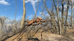 FO4 Vampiric bloodbug.jpg