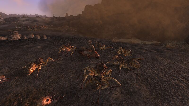 Datei:JRS dead brahmin.jpg