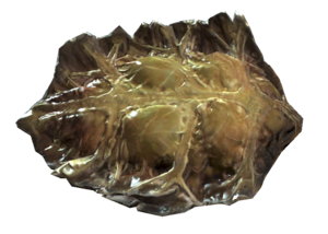 Fo4 radroach meat.png