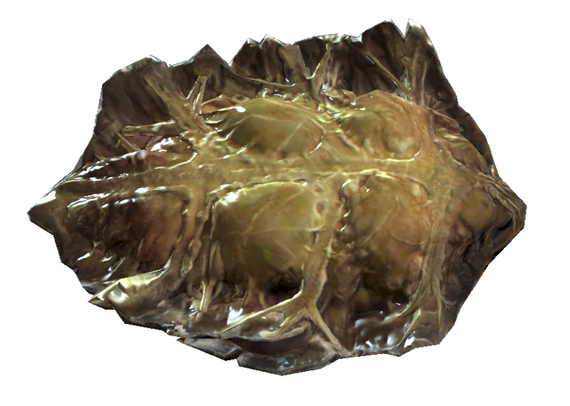 Datei:Fo4 radroach meat.png