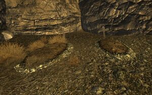 Followers Safehouse graves.jpg