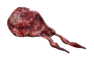 FO76 Tick blood sack.png