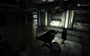 Fallout3 bornplace.png