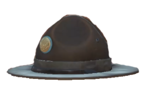 Campaign Hat.png