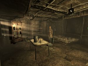 Ewers residence int.jpg