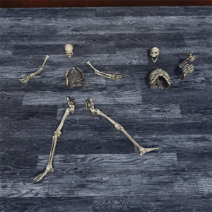 Score s20 camp floordecor skeletonparts c1.webp