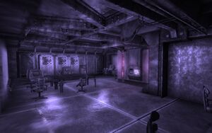 Vault 106 hallucination term2 LQ.jpg