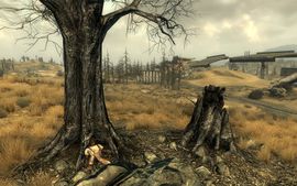 Dearest Grace holotape.jpg