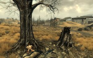 Dearest Grace holotape.jpg