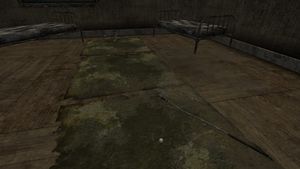 Golf ball Kings School of Impersonation.jpg