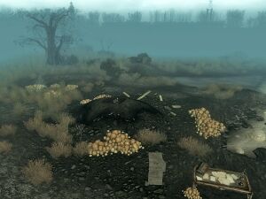 Excavated muck hole 2.jpg