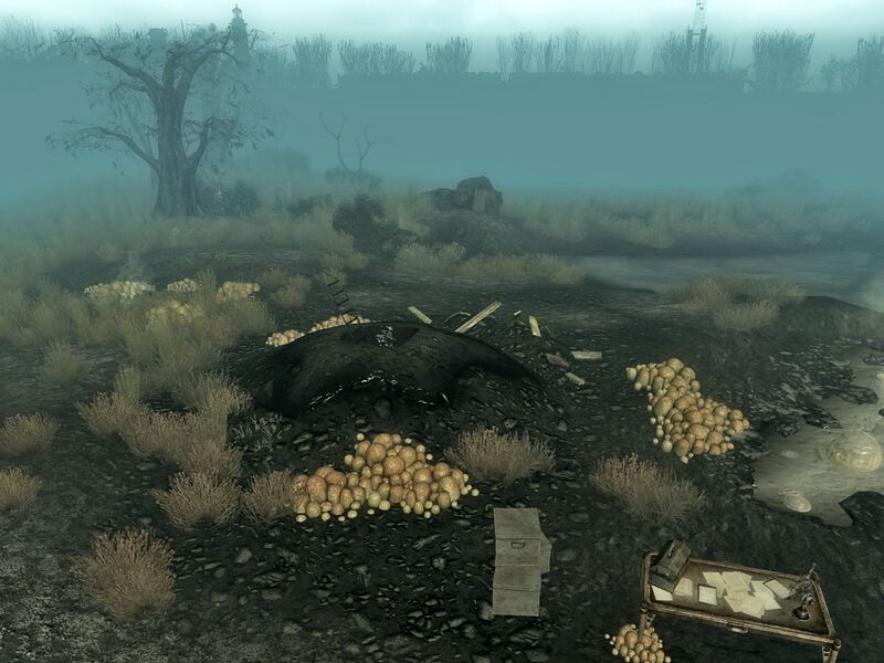 Datei:Excavated muck hole 2.jpg