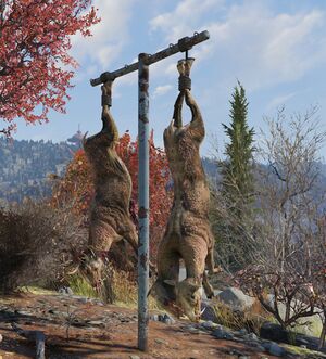 FO76 Radstag doe (carcass).jpg