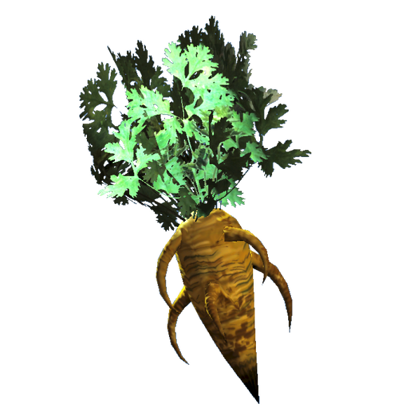 Datei:Fresh carrot.png