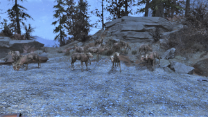 FO76 So many deers.png