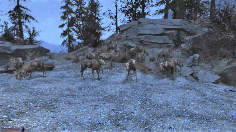 Datei:FO76 So many deers.png