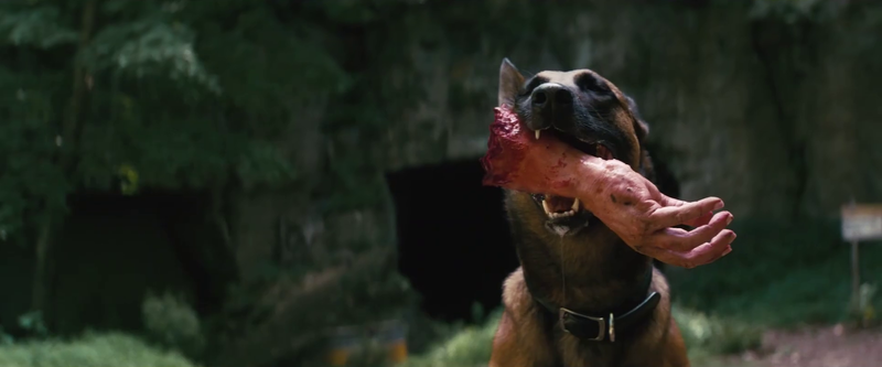 Datei:FOTV Trailer 1 24.png