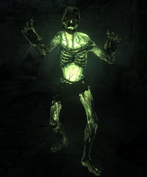 Datei:Fallout3GlowingOne02.jpg