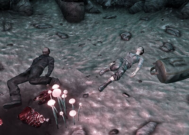 Datei:GC wastelanders.jpg