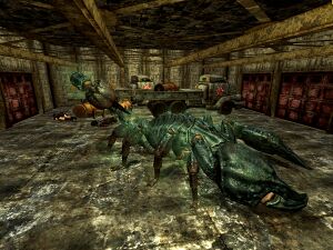 Searchlight FS interior.jpg