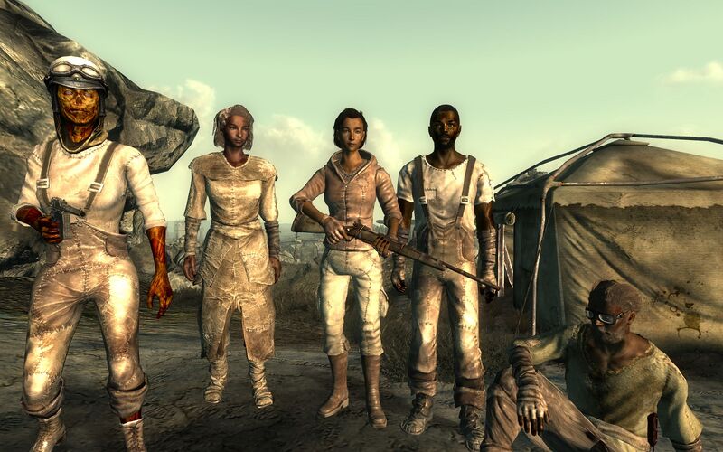 Datei:Fo3 wastelanders.jpg