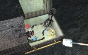 PL Ofie Clan Plot coffin.jpg