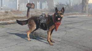 Dogmeat equipped items.jpg