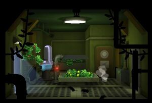 FoS garden 1room lvl2.jpg