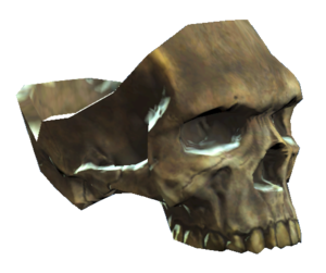 Capless skull.png