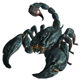 Giant radscorpion.png