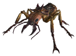 Giant soldier ant.png