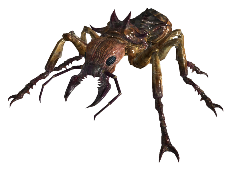 Datei:Giant soldier ant.png