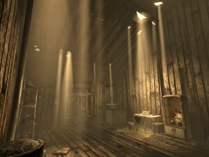 MDS northwest shack.jpg