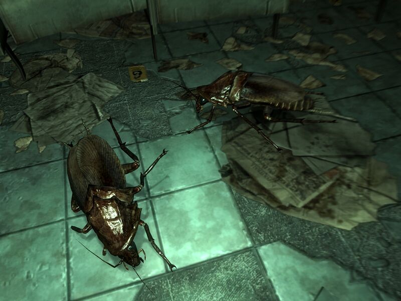 Datei:Radroaches BCB.jpg