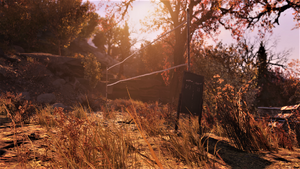 FO76 081120 Cue volleyball scene.png