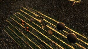 Duck 'n cover scott.jpg