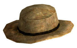 Rawhide cowboy hat.png