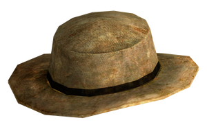 Rawhide cowboy hat.png