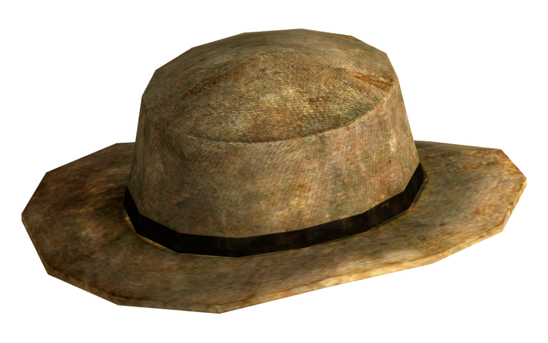 Datei:Rawhide cowboy hat.png