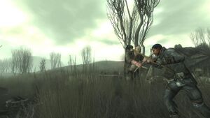 Smuggler vs tracker.jpg