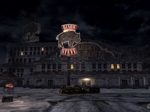 Bison Steve at night.jpg