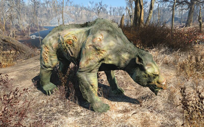 Datei:Fo4FH yao guai ghoul.jpg