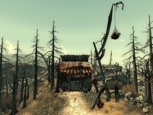 CS northeast shack.jpg