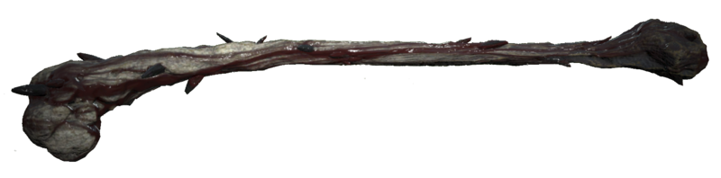 Datei:FO76 Bone hammer.png