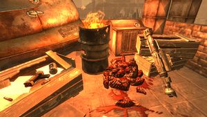 FNVLR Red Glare and laser detonator.jpg