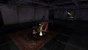 Vault11 Sacrificial Chamber.jpg